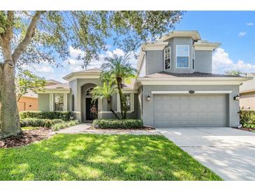 Photo one of 10717 Banfield Dr Riverview FL 33579 | MLS TB8305582