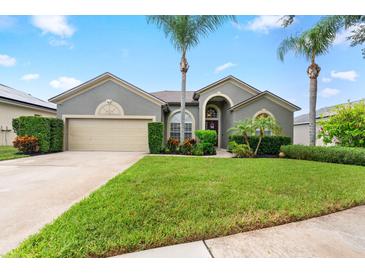 Photo one of 2808 Abbey Grove Dr Valrico FL 33594 | MLS TB8305724