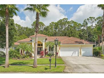 Single-Gathering home with three car garage and lush landscaping at 10110 Radcliffe Dr, Tampa, FL 33626