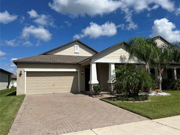 Tan house with beige garage door, landscaping, and palm trees at 13240 Satin Lily Dr, Riverview, FL 33579