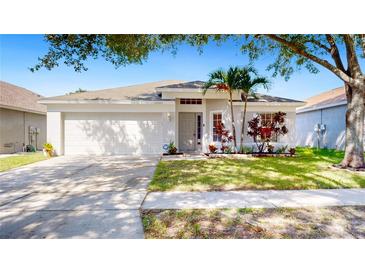 Photo one of 12505 Herons Path Pl Riverview FL 33578 | MLS TB8309572