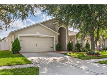 One-story house with attached garage and landscaping at 4206 Branchside Ln, Wesley Chapel, FL 33543