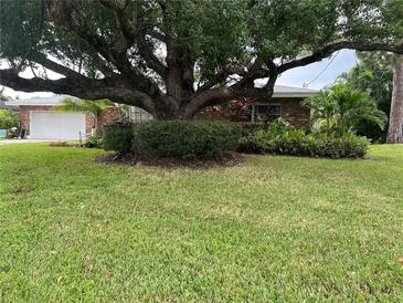 Brick home with a large tree and manicured lawn at 3372 Walnut Ne St, St Petersburg, FL 33704