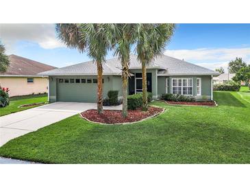 Single-story house with green walls, gray roof, and palm trees at 11111 Dormie Dr, San Antonio, FL 33576