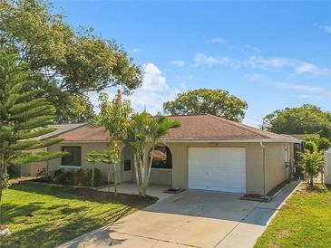 Front exterior view of a single-story house with a white garage door and landscaping at 5122 Lillilea Ln, New Port Richey, FL 34653