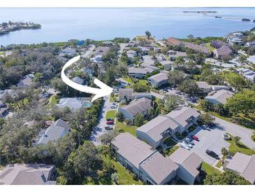 Aerial view of a residential neighborhood near the water, surrounded by lush greenery and trees at 428 Windrush Bay Dr, Tarpon Springs, FL 34689