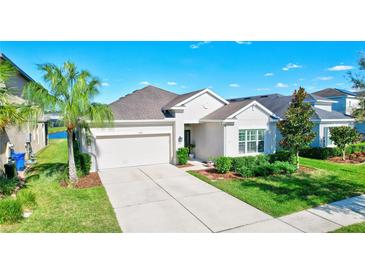 Photo one of 17608 Bright Wheat Dr Lithia FL 33547 | MLS TB8312256