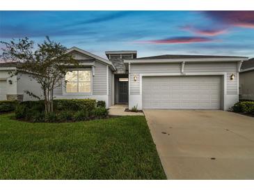 One-story house with attached garage and landscaping at 13204 Waterleaf Garden Cir, Riverview, FL 33579
