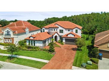 Luxury home with brick driveway and Spanish tile roof at 8414 Dunham Station Dr, Tampa, FL 33647
