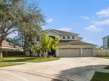 Photo one of 21108 Bircholm Ct Land O Lakes FL 34637 | MLS TB8315663