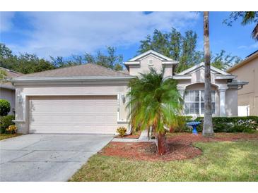 Attractive single-Gathering home with a two-car garage at 15501 Pepper Pine Ct, Land O Lakes, FL 34638