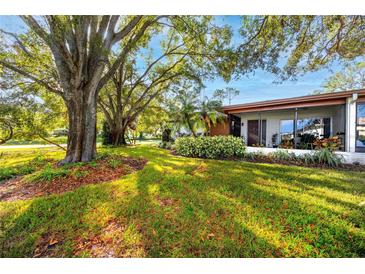 Spacious backyard with lush landscaping and large oak trees at 2390 Shelly Dr # D, Palm Harbor, FL 34684