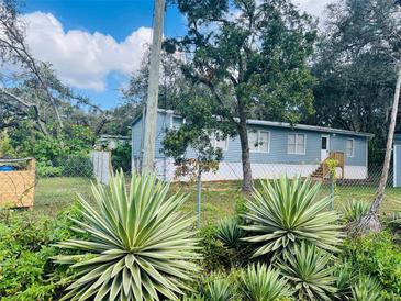 Ranch-style home with light blue siding, nestled in greenery at 10642 Shalimar St, New Port Richey, FL 34654