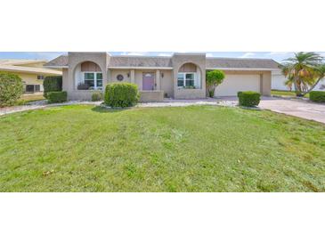 Well-maintained single-story home with a manicured lawn and neatly trimmed hedges at 1529 Allegheny Dr, Sun City Center, FL 33573