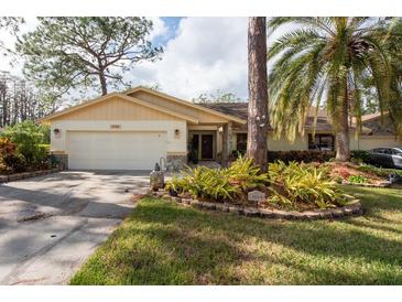 Single-story home with attached garage and landscaping at 3006 Bolt Dr, Palm Harbor, FL 34685