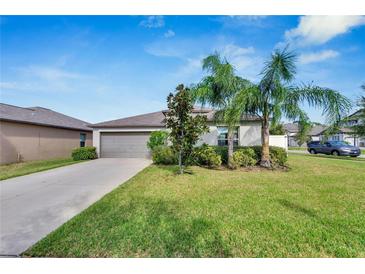 Single-story home with a gray garage door and well-manicured lawn at 13010 Lily Chapel Ct, Riverview, FL 33579