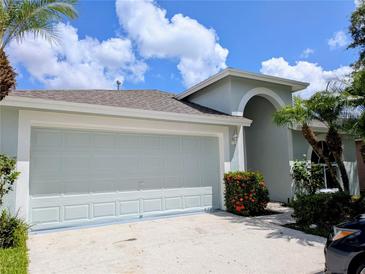 Two-car garage with a large driveway, a well-manicured yard, and a light blue paint job at 27542 Sky Lake Circle, Wesley Chapel, FL 33544