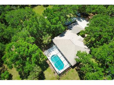 Aerial view of house with pool, surrounded by lush trees at 3204 Stagecoach Trl, Wimauma, FL 33598