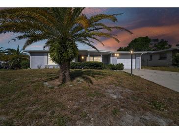 Single story home with a carport and palm tree at 7511 Tyson Dr, Port Richey, FL 34668