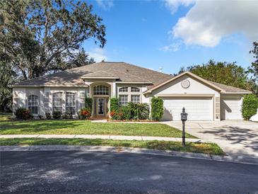 Photo one of 514 Crowned Eagle Ct Valrico FL 33594 | MLS TB8319124