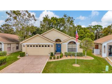 Beautiful ranch home with mature landscaping at 11390 Deercroft Ct, Spring Hill, FL 34609