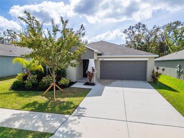 Photo one of 10209 Shimmering Koi Way Riverview FL 33578 | MLS TB8319776