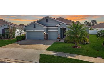 Two-story house with gray siding and a palm tree at 13444 Golden Lime Ave, Spring Hill, FL 34609