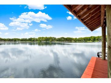 Scenic lake view from covered dock; peaceful waterfront property at 20333 Moss Branch Ct, Lutz, FL 33558