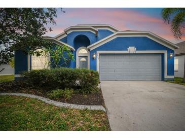 Photo one of 7608 Hampshire Garden Pl Apollo Beach FL 33572 | MLS TB8320864