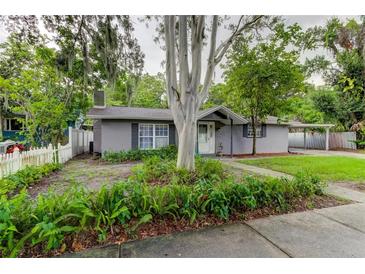 Gray house with white trim, green lawn, and a large tree in front at 508 Park Blvd, Oldsmar, FL 34677