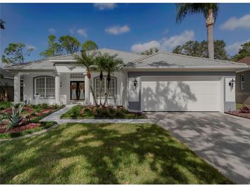 Single story home with a two-car garage and manicured lawn at 19109 Cherry Rose Cir, Lutz, FL 33558