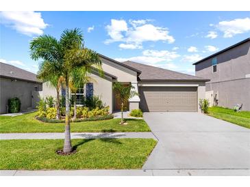 Single-story home with attached garage and landscaping at 15410 Miller Creek Dr, Ruskin, FL 33573