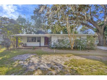 Charming ranch home with mature landscaping and spacious yard at 15040 Lake Magdalene Blvd, Tampa, FL 33618