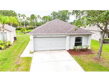Charming single-story home with a well-maintained lawn and attached two-car garage at 10543 Opus Dr, Riverview, FL 33579