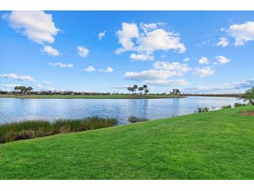 Expansive lake view with lush green grass at 23503 Waverly Cir, Venice, FL 34293