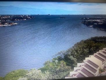 A beautiful water view overlooking Tampa Bay with an island in the distance and a townhouse complex in the foreground at 1710 Lighthouse S Ter # 1, South Pasadena, FL 33707