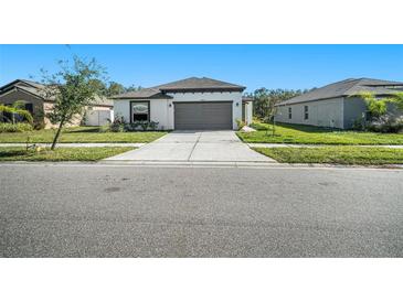 Photo one of 39822 Harmon Grove Ct Zephyrhills FL 33540 | MLS TB8324010