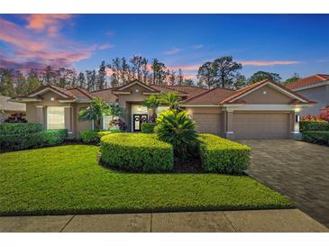 Beautiful home with tile roof, lush landscaping, and a large driveway at 12004 Marblehead Dr, Tampa, FL 33626