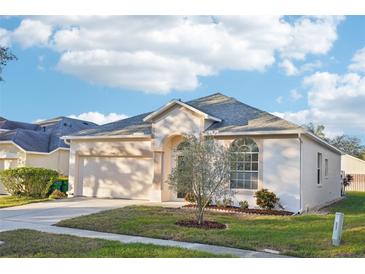 One-story home with attached garage and landscaped front yard at 27451 Sky Lake Cir, Wesley Chapel, FL 33544