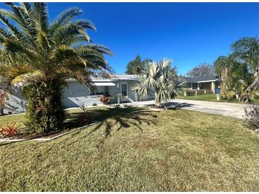Ranch style home with palm trees and a well-manicured lawn at 2215 Riomar Dr, Holiday, FL 34691