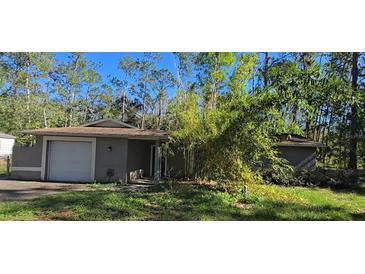 Ranch-style home with attached garage and mature landscaping at 6906 Quail Hollow Blvd, Wesley Chapel, FL 33544