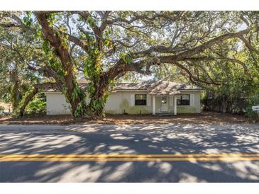 One-story home with mature landscaping and a large tree in front at 775 Pennsylvania Ave, Palm Harbor, FL 34683