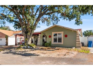 Green house exterior with mature landscaping and a large tree at 7505 Eastmoor Ct, Tampa, FL 33615