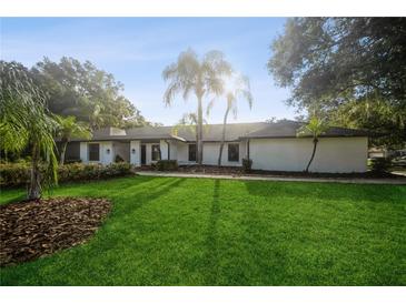 White brick ranch home with a large green lawn and mature palm trees at 15909 Amberly Dr, Tampa, FL 33647
