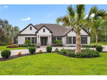 House exterior featuring a two-story home with a landscaped yard and palm trees at 13665 Oldenburg Dr, Hudson, FL 34667