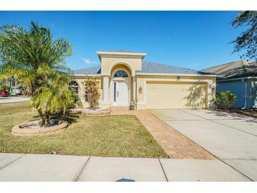 One-story house with a yellow exterior, landscaped yard, and a two-car garage at 17227 Poppy Fields Ln, Land O Lakes, FL 34638