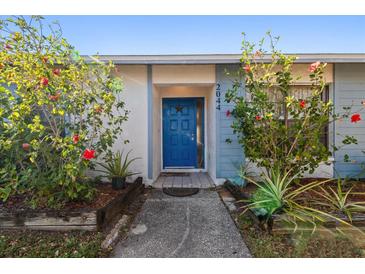 Inviting front entrance with a blue door, landscaping, and walkway at 2044 Sheffield Ct, Oldsmar, FL 34677