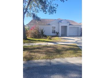 One story house with attached garage, landscaping, and a well-maintained lawn at 12419 Dawn Vista Dr, Riverview, FL 33578