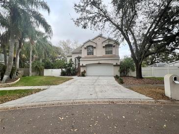 Two-story house with a white garage door and landscaped yard at 3619 Springville Dr, Valrico, FL 33596