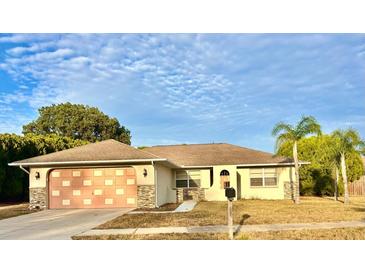 One-story house with light beige walls, a peach garage door, and palm trees at 8521 Wolf Den Trail Trl, Port Richey, FL 34668